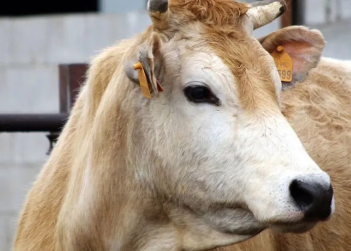 Séjour à la ferme Le Campagnole