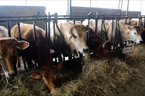 Le Campagnole Séjour à la ferme *