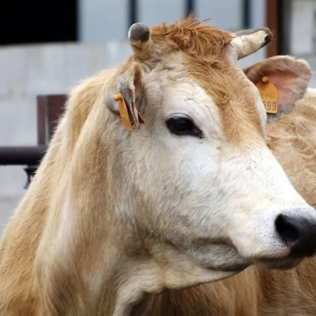 农家乐 Le Campagnole