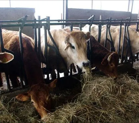 Le Campagnole Agroturismo *